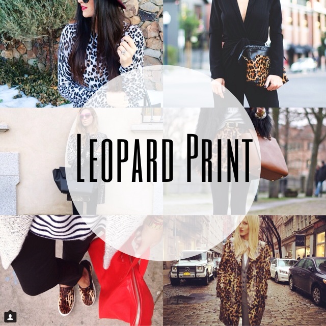 LEOPARD PRINTS THEWILDFOX.WEEBLY.COM